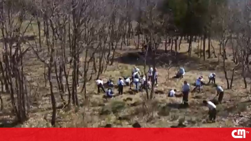 Iniciativa para recuperar o parque natural da Serra da Estrela