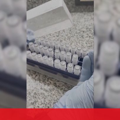 Cientistas trabalham em vacina após surto de hantavírus em cruzeiro