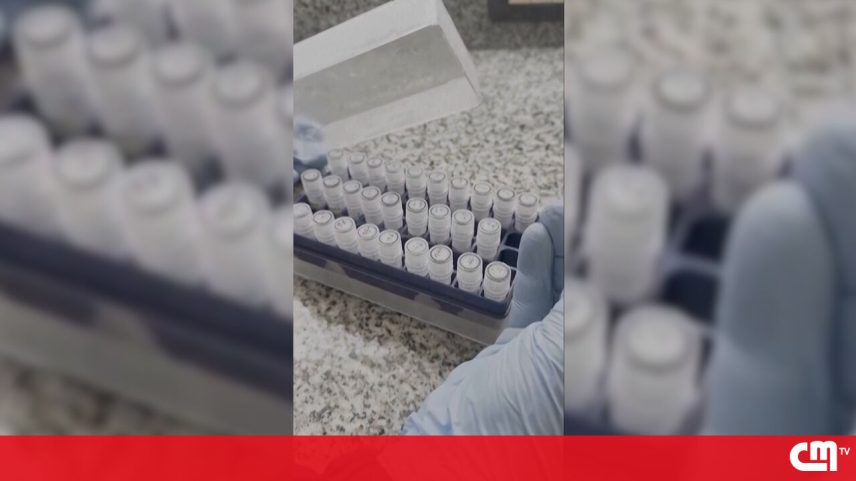 Cientistas trabalham em vacina após surto de hantavírus em cruzeiro
