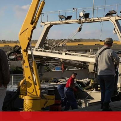 Pesca da sardinha em Sines reabriu sem peixe
