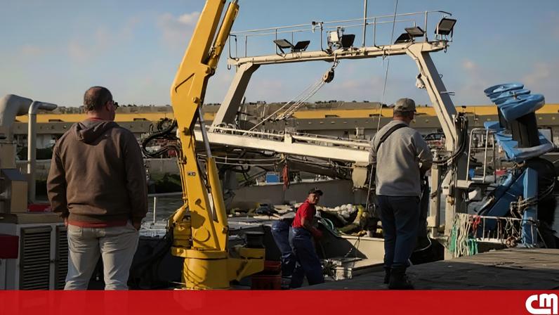 Pesca da sardinha em Sines reabriu sem peixe