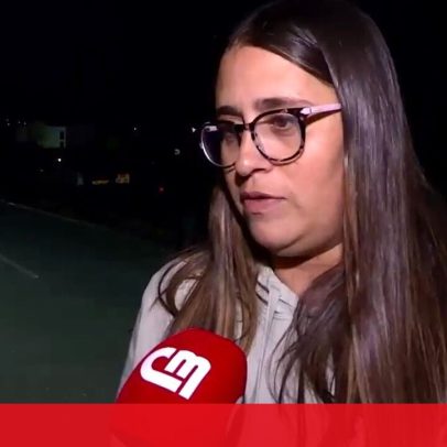Cães retirados de carrinha em Santa Cruz vão precisar de reabilitação