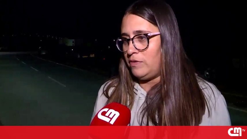 Cães retirados de carrinha em Santa Cruz vão precisar de reabilitação