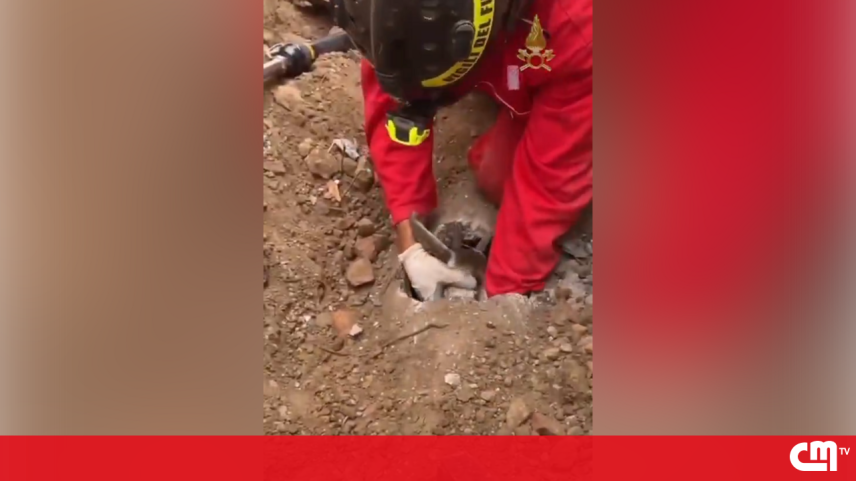 Bombeiros resgatam cabrita presa em tubo subterrâneo na Itália