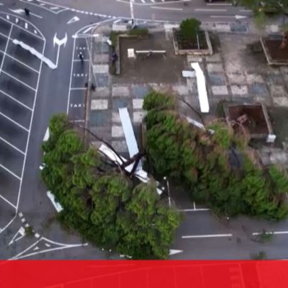 Moradores de Leiria afetados pela tempestade Kristin dizem ter sido esquecidos