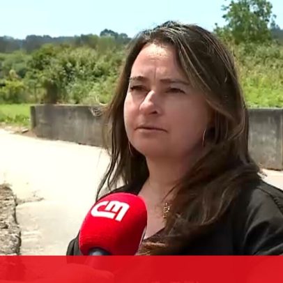 Mulher que resgatou canguru bebé em Viana do Castelo conta como aconteceu