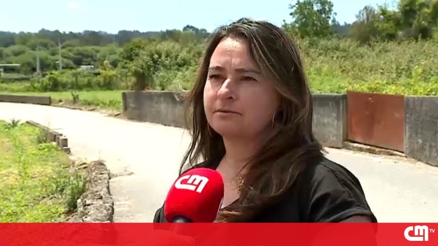Mulher que resgatou canguru bebé em Viana do Castelo conta como aconteceu
