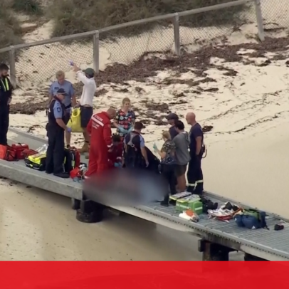 Tubarão mata mergulhador na Austrália durante pesca submarina