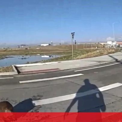 Polícia retira castor irritado de cruzamento com cone de trânsito nos EUA