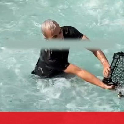 Jovem salta para salvar pato bebé arrastado pela corrente num canal na França