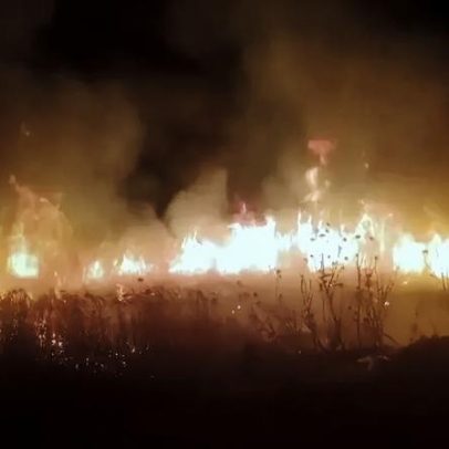 Colonos israelitas incendiam terrenos agrícolas na Cisjordânia