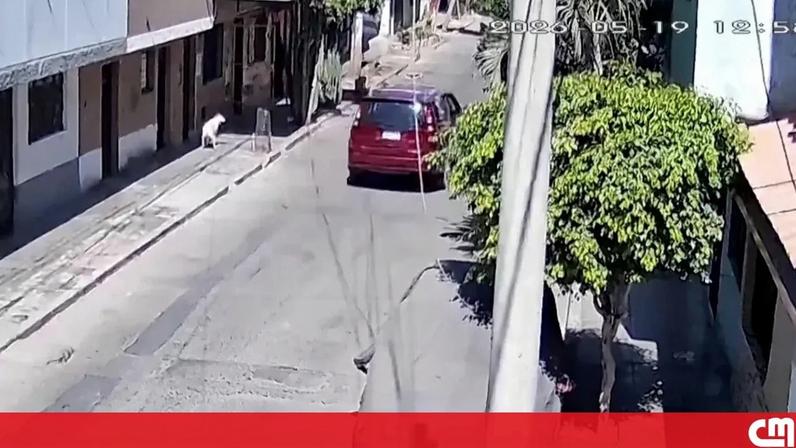 Imagens de videovigilância mostram momento em que sismo de magnitude 5.8 é sentido no Peru