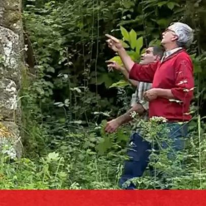 Moradores de Cinfães chocados com homicídio cometido pela filha da terra