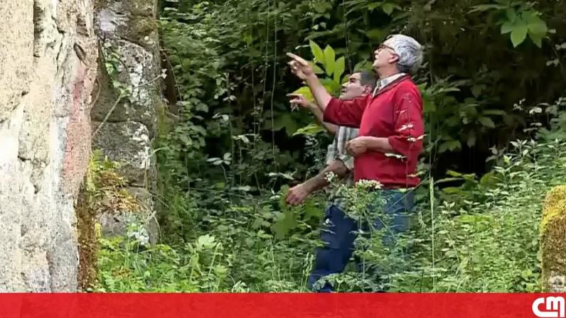 Moradores de Cinfães chocados com homicídio cometido pela filha da terra