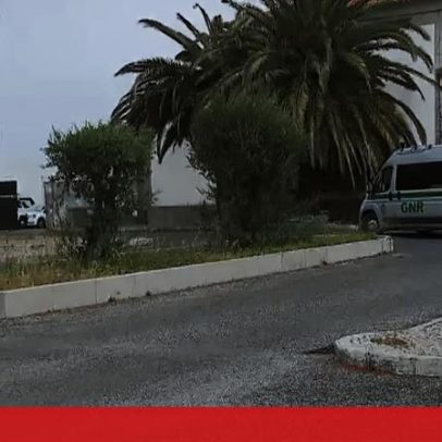 Mãe que abandonou crianças francesas chega à prisão de Tires
