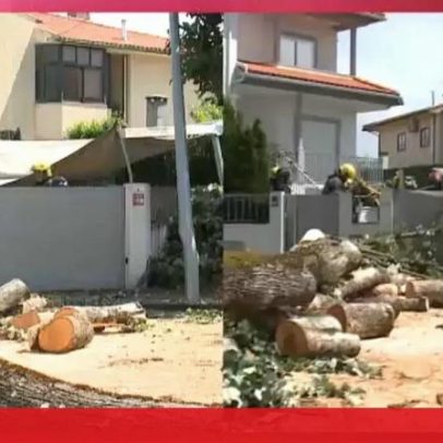Vento forte danifica carros e assusta habitantes em Viseu