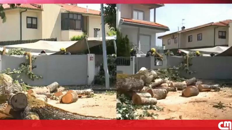Vento forte danifica carros e assusta habitantes em Viseu