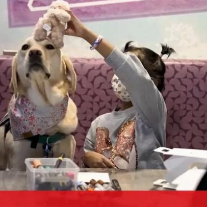 Cães terapêuticos ajudam crianças internadas a enfrentar tratamentos hospitalares