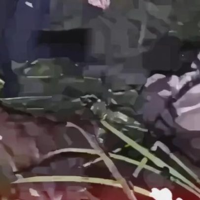Homem e cavalo resgatados de zona pantanosa na Espanha