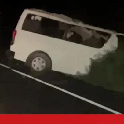 Carrinha embate com elefante perto de parque nacional no Uganda, três mortos