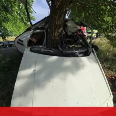Homem morre em despiste contra árvore em Ponte de Sor