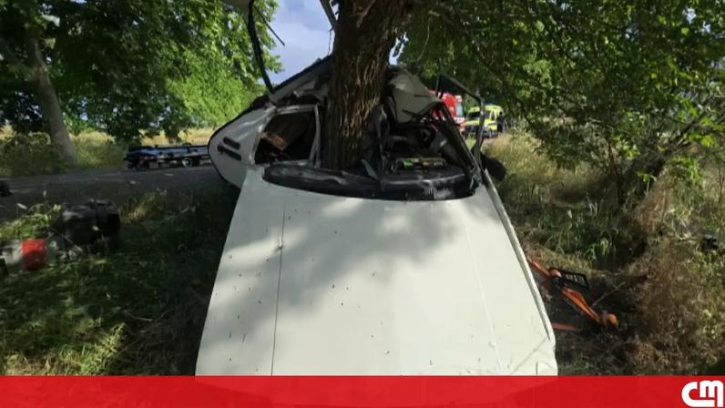 Homem morre em despiste contra árvore em Ponte de Sor