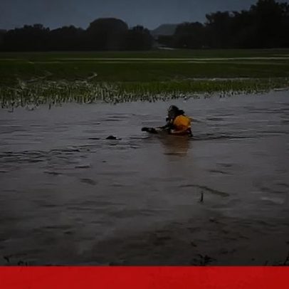 Bombeiro mergulha em cheias para resgatar cria de veado nos EUA