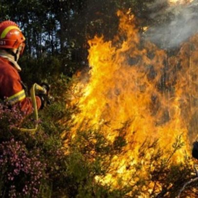 Médio Tejo antecipa verão conturbado por incêndios após tempestades