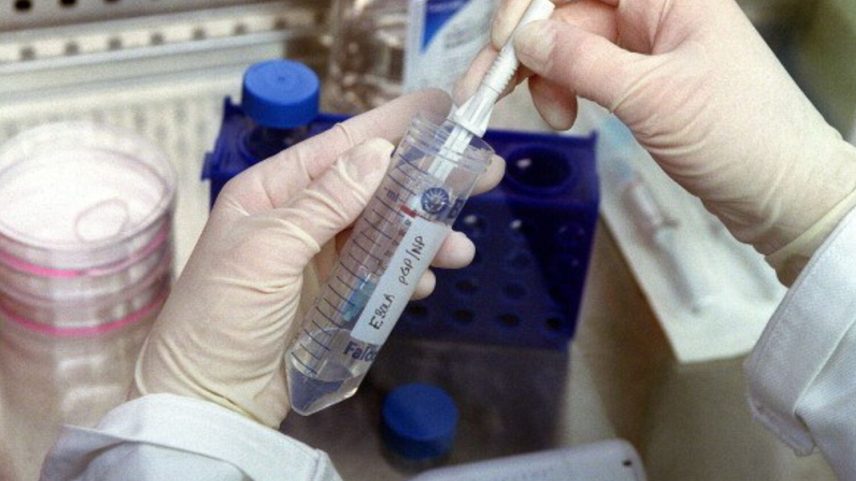 Moçambique aumenta prevenção e prontidão ante surto de Ébola na RDC