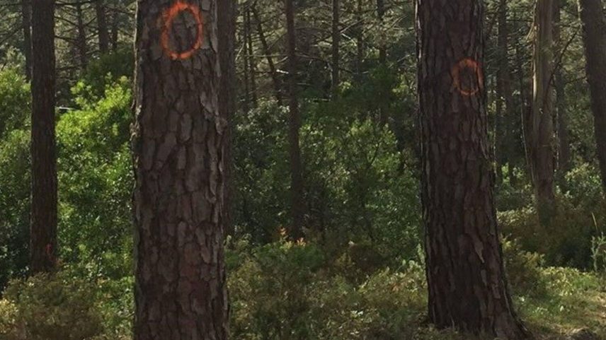 Autarquia de Sintra aprova adesão à cogestão do Parque Natural.