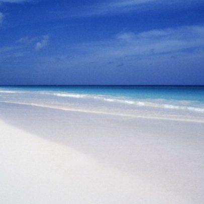Mais de 100 pessoas adoecem por norovírus num cruzeiro nas Bahamas