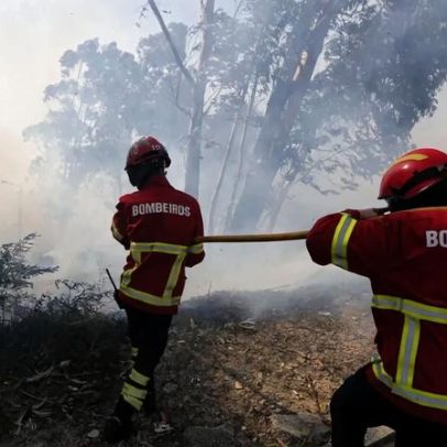 Sete concelhos do Faro em risco máximo de incêndio