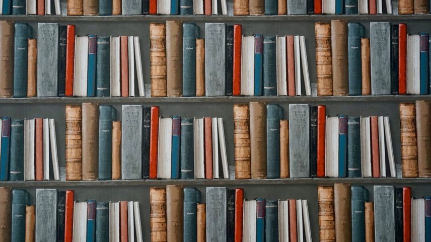 Governo cria linha inédita para tradução de excertos e reforça apoio à edição