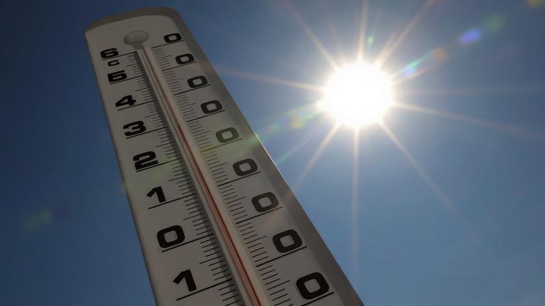 Temperatura