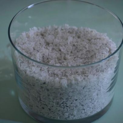 Estudo deteta microplásticos e químicos em aves marinhas subantárticas