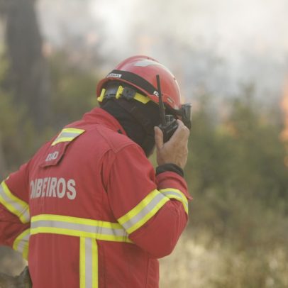 Quase 400 operacionais no Alentejo Central na fase crítica de combate