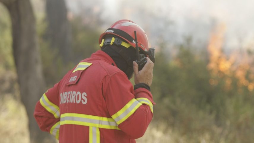 Quase 400 operacionais no Alentejo Central na fase crítica de combate