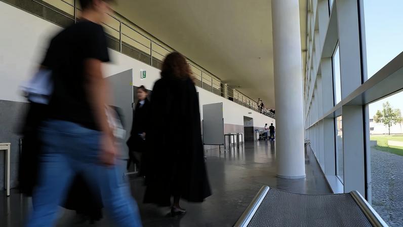 Universitários