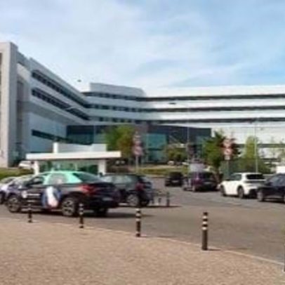 Hospital de Cascais e associação assinam protocolo de terapia com animais
