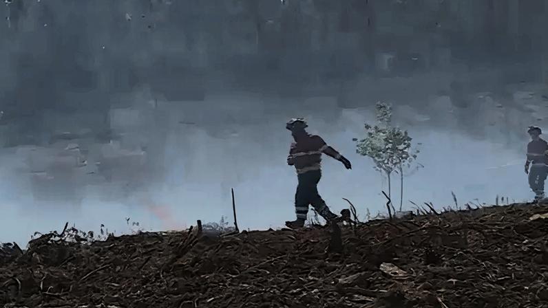 Instituto apela à responsabilidade dos cidadãos em relação aos incêndios, tendo em conta a aproximação de períodos de tempo quente e seco.