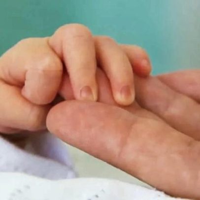Nascimento de bebés atinge pico não visto em 14 anos