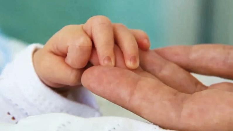 Especialista expica aumento de nascimentos com subida da imigração
