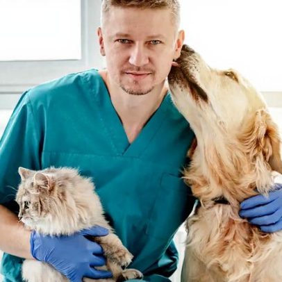 Veterinários recusam atendimento a pessoas que se identificam como animais