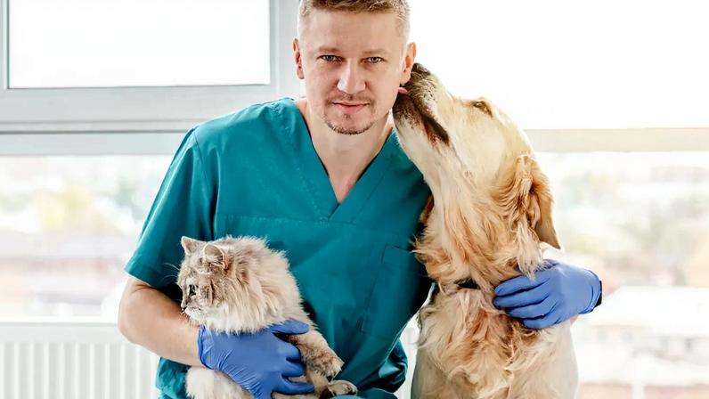 Veterinários recusam atendimento a pessoas que se identificam como animais