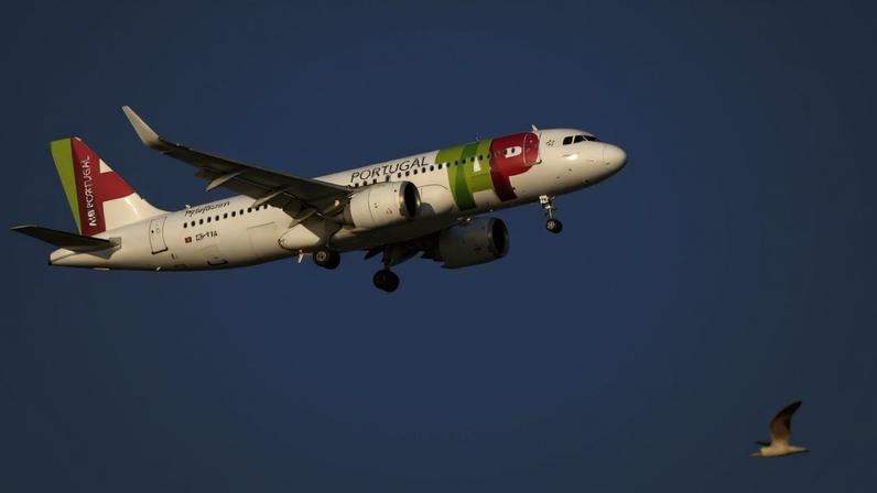 Pilotos da TAP satisfeitos com resultados temem eventual entrada da Lufthansa