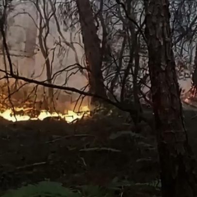 Ateia fogo na floresta e fica preso em casa em Paredes
