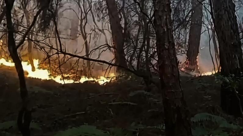 Incêndios florestais na Itália forçam moradores a evacuar casas