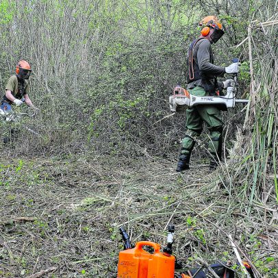 Estado passa a gerir terrenos de dono desconhecido