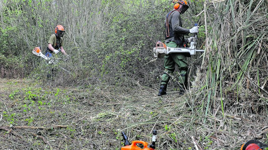 Estado passa a gerir terrenos de dono desconhecido