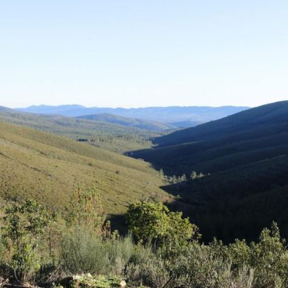 Portugal e Espanha dinamizam corredor para habitats ibéricos